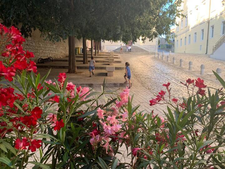 Feel The City Atmosphere روفينج المظهر الخارجي الصورة